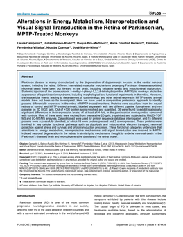 Alterations in Energy Metabolism, Neuroprotection and Visual Signal Transduction in the Retina of Parkinsonian, MPTP-Treated Monkeys