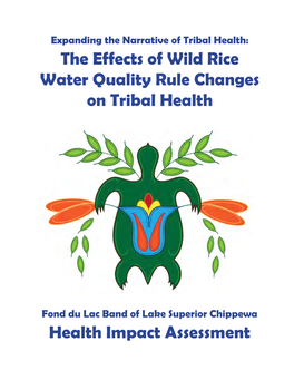 The Effects of Wild Rice Water Quality Rule Changes on Tribal Health