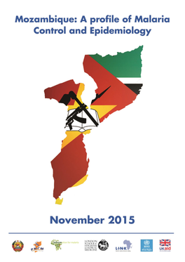 Mozambique LINK-INFORM Epi Profile Report (2015) Eng