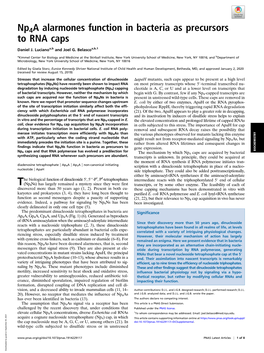 Np4a Alarmones Function in Bacteria As Precursors to RNA Caps