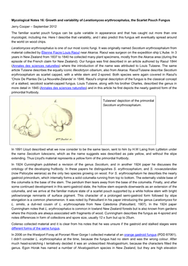 Growth and Variability of Leratiomyces Erythrocephalus, the Scarlet Pouch