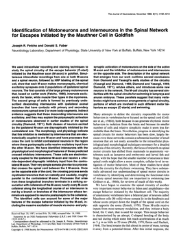 Identification of Motoneurons and Interneurons in the Spinal Network for Escapes Initiated by the Mauthner Cell in Goldfish