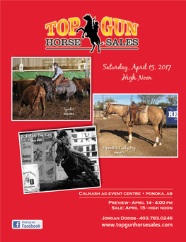 Top-Gun-Horse-Sales Catalog 2017