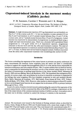 Cloprostenol-Induced Luteolysis in the Marmoset Monkey (Callithrix Jacchus) P