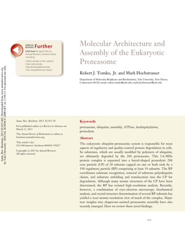 Molecular Architecture and Assembly of the Eukaryotic Proteasome
