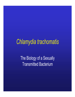 Chlamydia Trachomatis