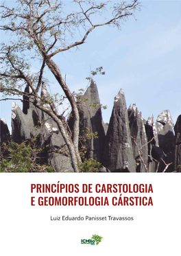 Princípios De Carstologia E Geomorfologia Cárstica