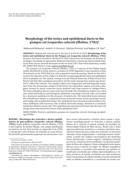 Morphology of the Testes and Epididymal Ducts in the Pampas Cat Leopardus Colocolo (Molina, 1782)1