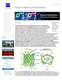 Optical Highlighter Fluorescent Proteins