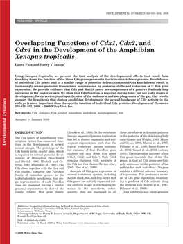 Overlapping Functions of Cdx1, Cdx2, and Cdx4 in the Development of the Amphibian Xenopus Tropicalis