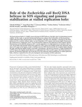 Role of the Escherichia Coli Recq DNA Helicase in SOS Signaling and Genome Stabilization at Stalled Replication Forks