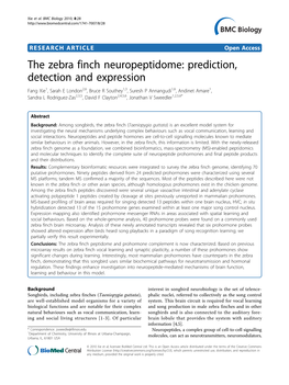 Views of the NIDA, NINDS Or the National Summed Across the Three Auditory Forebrain Lobule Sec- Institutes of Health