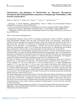 Ultrastructure and Phylogeny of Thelohanellus Sp. (Myxozoa