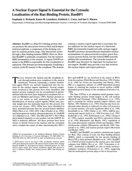 A Nuclear Export Signal Is Essential for the Cytosolic Localization of the Ran Binding Protein, Ranbp1 Stephanie A