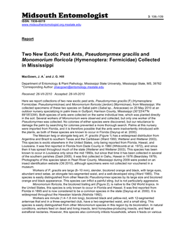 Two New Exotic Pest Ants Pseudomyrmex Gracilis And