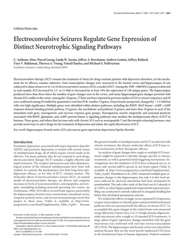 Electroconvulsive Seizures Regulate Gene Expression of Distinct Neurotrophic Signaling Pathways