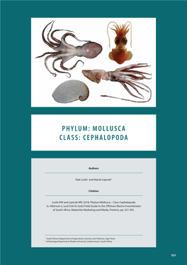 Phylum: Mollusca Class: Cephalopoda