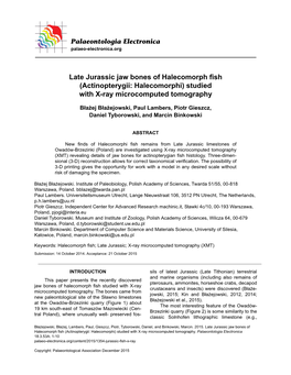 Late Jurassic Jaw Bones of Halecomorph Fish (Actinopterygii: Halecomorphi) Studied with X-Ray Microcomputed Tomography