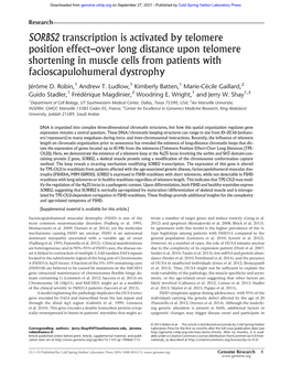 SORBS2 Transcription Is Activated by Telomere Position Effect–Over Long