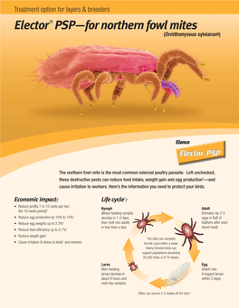 Elector PSP—For Northern Fowl Mites