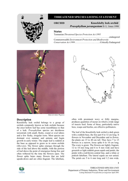 Threatened Species Listing Statement-Knocklofty Leek Orchid Prasophyllum Perangustum D. L. Jones 1998