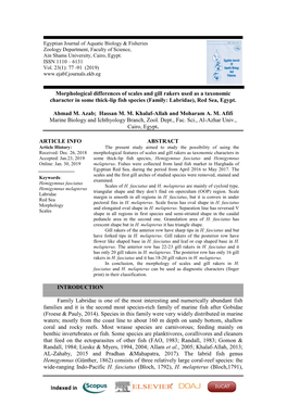 Morphological Differences of Scales and Gill Rakers Used As a Taxonomic Character in Some Thick-Lip Fish Species (Family: Labridae), Red Sea, Egypt