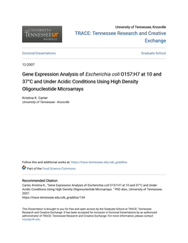 Gene Expression Analysis of Escherichia Coli O157:H7 at 10 and 37°C and Under Acidic Conditions Using High Density Oligonucleotide Microarrays