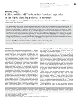 KIBRA Exhibits MST-Independent Functional Regulation of the Hippo Signaling Pathway in Mammals