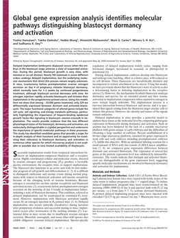 Global Gene Expression Analysis Identifies Molecular Pathways Distinguishing Blastocyst Dormancy and Activation