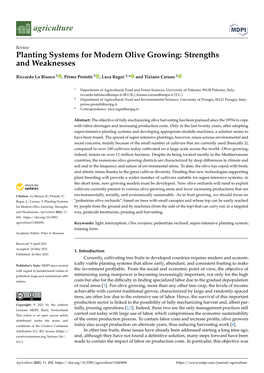 Planting Systems for Modern Olive Growing: Strengths and Weaknesses