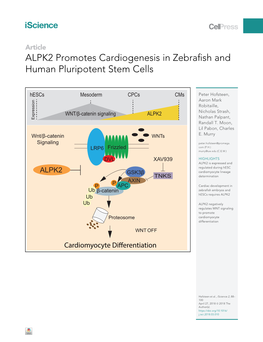 ALPK2 Promotes Cardiogenesis in Zebrafish and Human Pluripotent