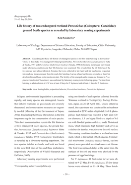 Coleoptera: Carabidae) Ground Beetle Species As Revealed by Laboratory Rearing Experiments