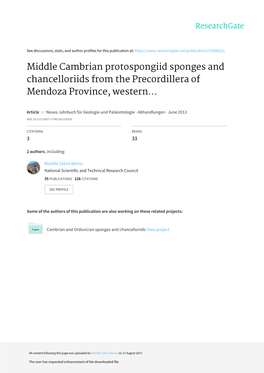 Middle Cambrian Protospongiid Sponges and Chancelloriids from the Precordillera of Mendoza Province, Western