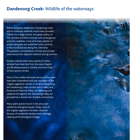 Dandenong Creek: Wildlife of the Waterways