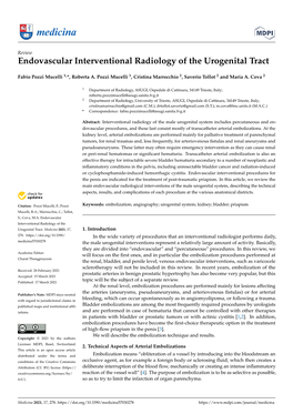 Endovascular Interventional Radiology of the Urogenital Tract