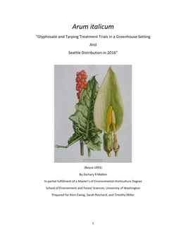 Arum Italicum “Glyphosate and Tarping Treatment Trials in a Greenhouse Setting and Seattle Distribution in 2016”