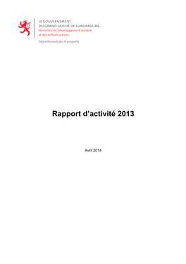 Rapport D'activité 2013