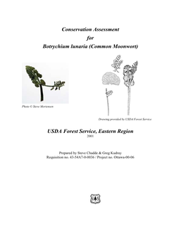 Conservation Assessment for Botrychium Lunaria