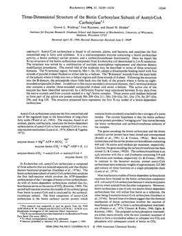 Three-Dimensional Structure of the Biotin Carboxylase Subunit of Acetyl-Coa Carboxylaset91 Grover L