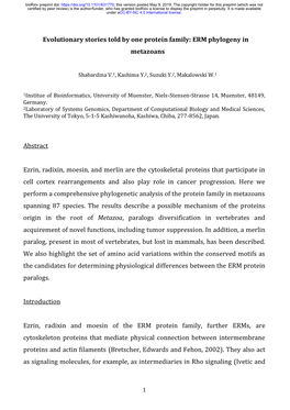 Evolutionary Stories Told by One Protein Family: ERM Phylogeny in Metazoans