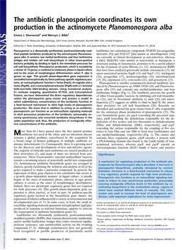 The Antibiotic Planosporicin Coordinates Its Own Production in the Actinomycete Planomonospora Alba