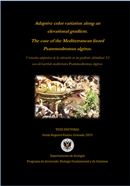 Adaptive Color Variation Along an Elevational Gradient. the Case of the Mediterranean Lizard Psammodromus Algirus. Universidad De Granada, Spain