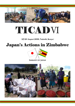 Japan's Actions in Zimbabwe