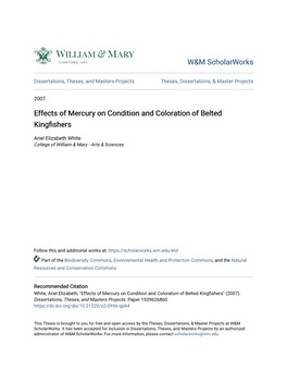 Effects of Mercury on Condition and Coloration of Belted Kingfishers