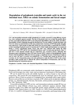 Degradation of Polyphenols (Catechin and Tannic Acid) in the Rat Intestinal Tract