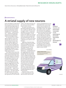 Neurogenesis: a Striatal Supply of New Neurons