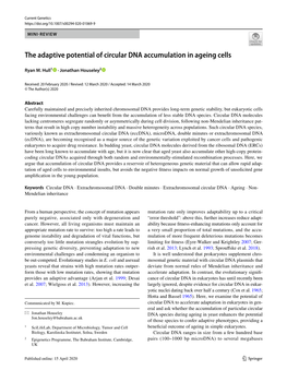 The Adaptive Potential of Circular DNA Accumulation in Ageing Cells