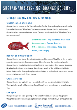 Sustainable Fishing: Orange Roughy