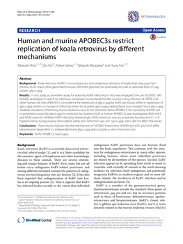 Human and Murine Apobec3s Restrict Replication of Koala