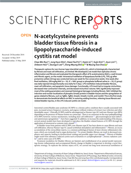 N-Acetylcysteine Prevents Bladder Tissue Fibrosis in A